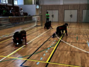 Goalball Beispielfoto